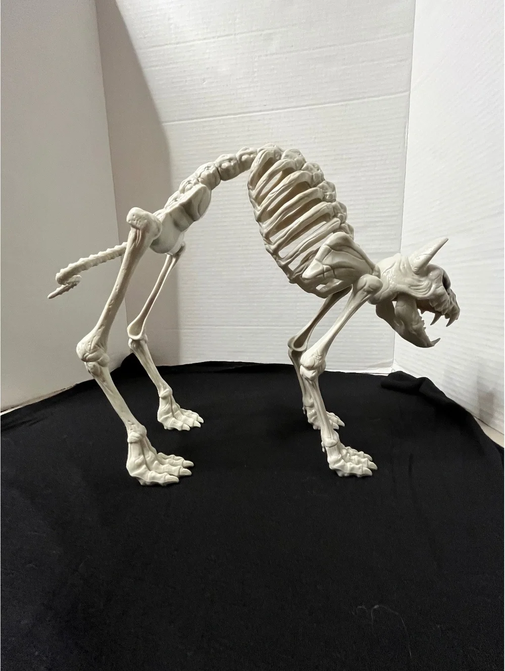Spooky Cat Skeleton Decor - Perfect for Halloween Vibes